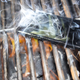 Illustration for article titled 18 Fiery Photos Of Grills And Charred Meat